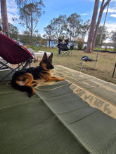 Load image into Gallery viewer, Recycled Mat - Kangaroo Outback
