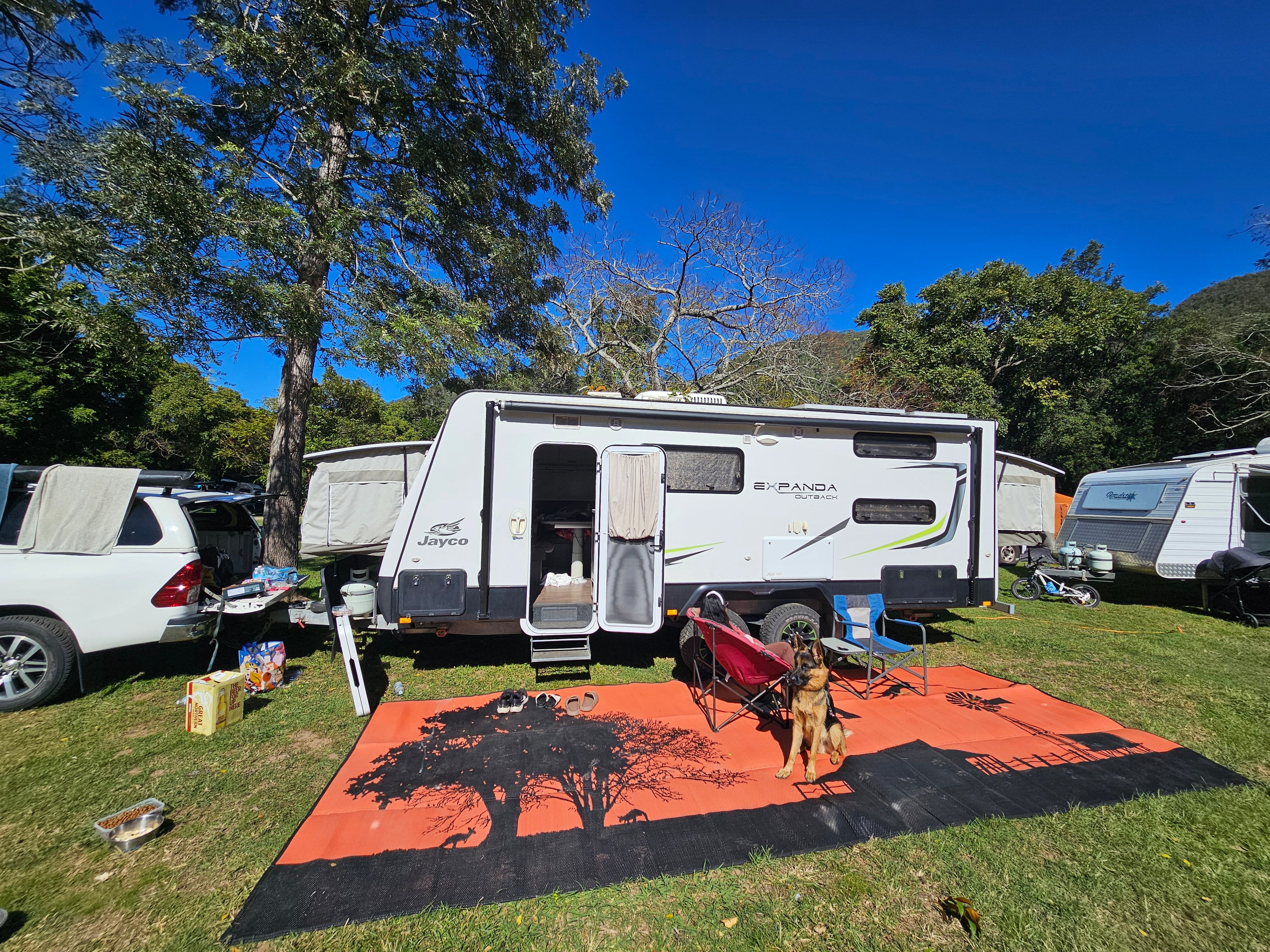 Orange and black outdoor mat with tree design, perfect for caravan camping trips and picnics on grass.