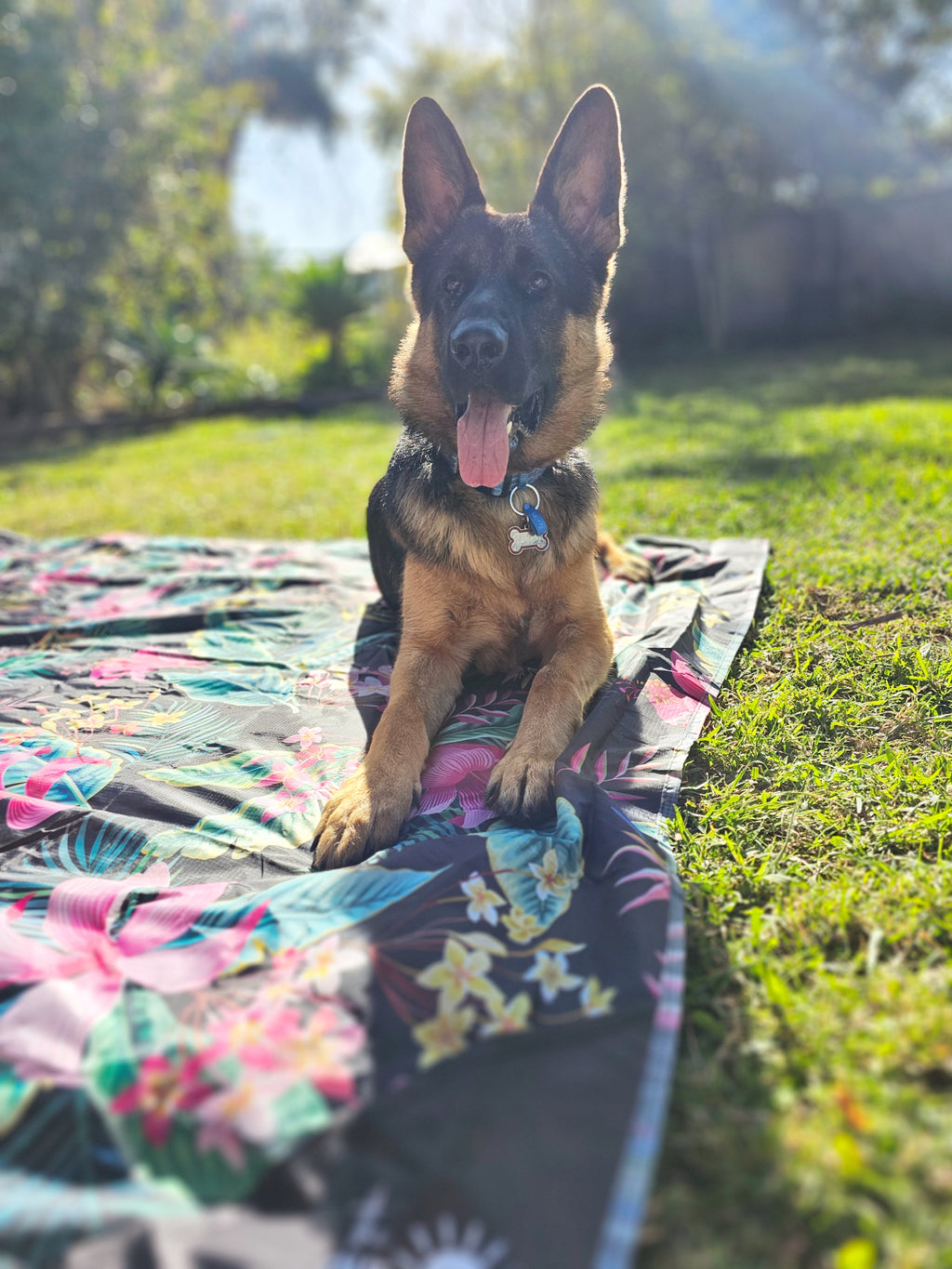 German Shepherd on floral outdoor mat in grass, perfect for picnics & camping